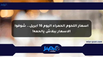 أسعار اللحوم الحمراء اليوم 16 إبريل.. شوفوا الأسعار ببلاش يالحمه!